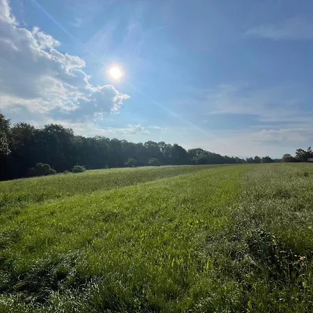 Tinyhaus #1 - Entspannen Am Ortsrand Mit Veranda شقة *